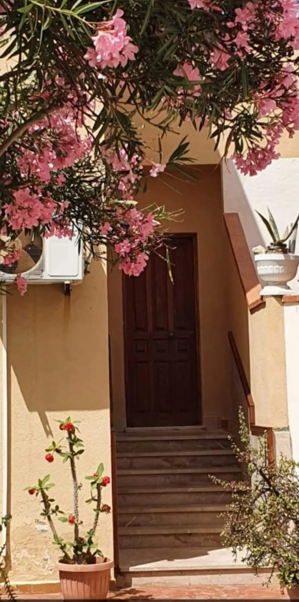 Casa Katia — foto 5